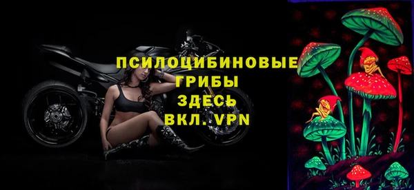 мяу мяу мука Алексеевка