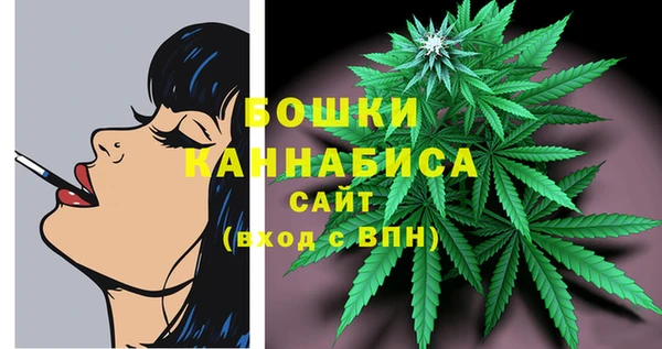 сатива Абдулино